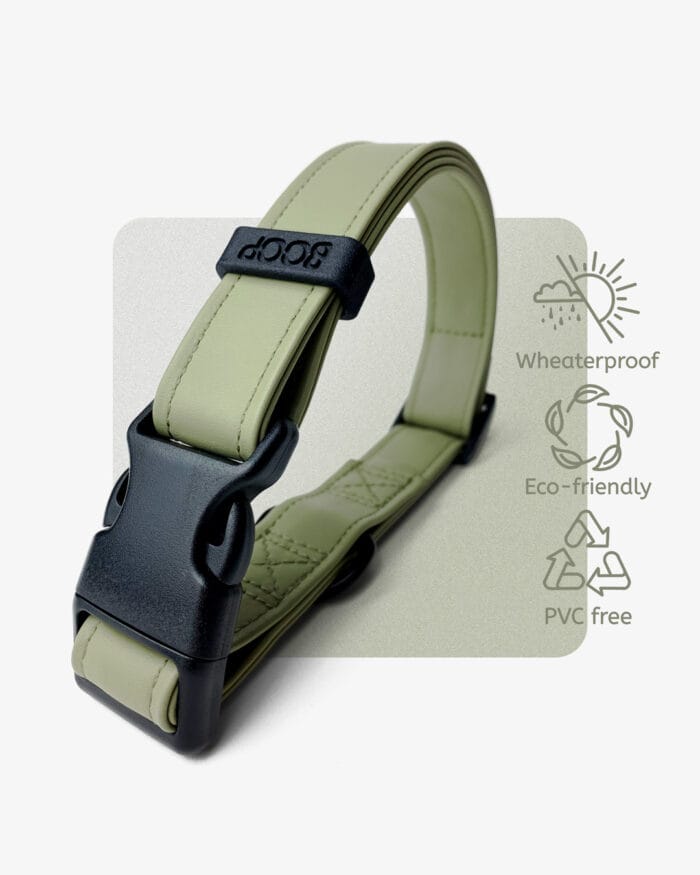 COLLIER chien réglable en silicone – Image 4