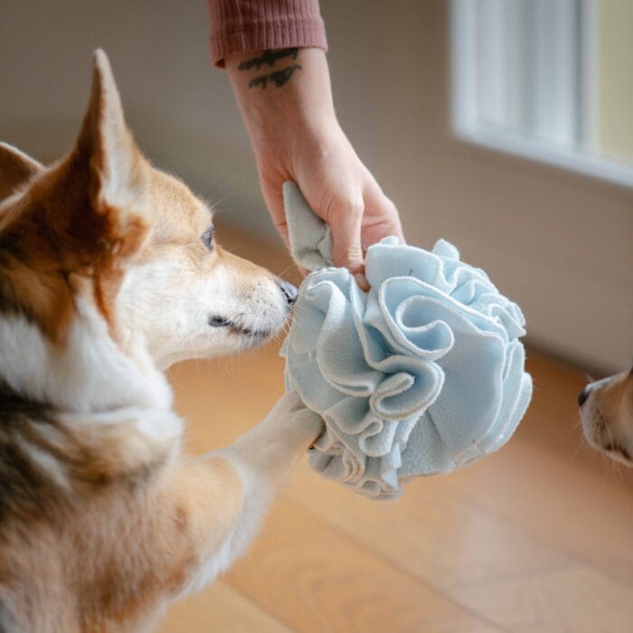 Jouet chien à friandises SNUFFLE boule olfactive en coton recyclé fabriquée à la main – Image 5