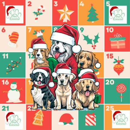 Calendrier de l'avent pour chien PET GREENS