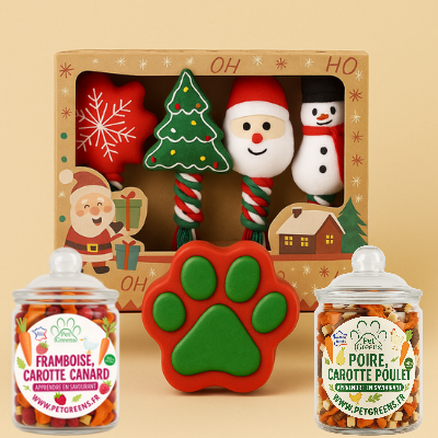 Coffret Cadeau de Noël pour Chien