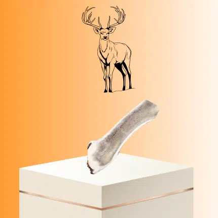 Bois de Cerf Friandises à mâcher longue durée