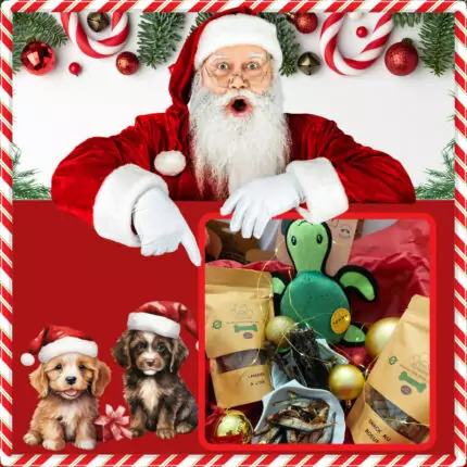 Coffret de Noel pour chiens