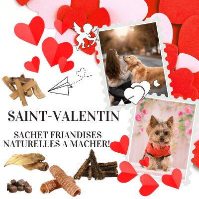 Saint-Valentin Sachet Friandises Naturelles mastication courte, moyenne et longue durée