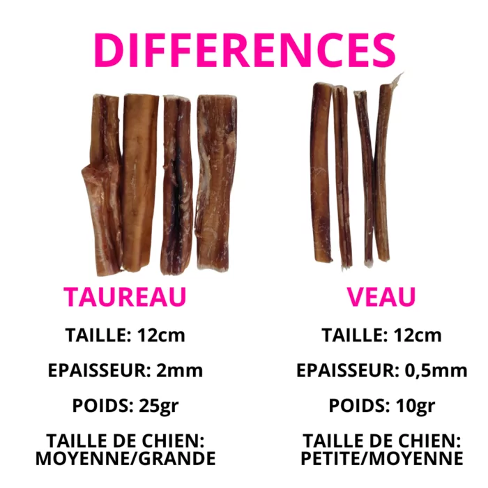 Nerfs de Taureau secs friandises à mâcher longue durée – Image 2