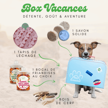 BOX VACANCES POUR CHIEN