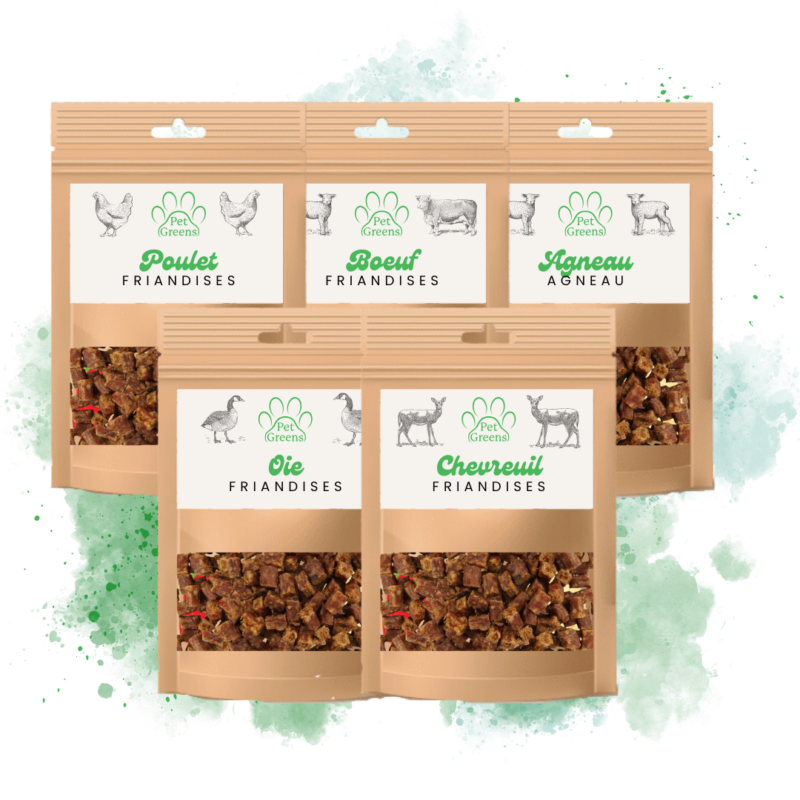 Coffret d'éducation pour chiens