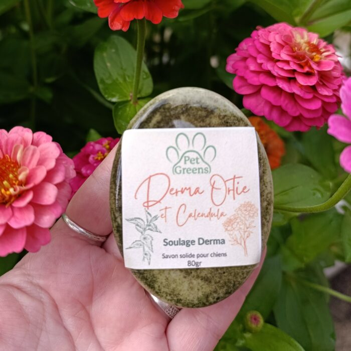 SHAMPOING SOLIDE NATUREL POUR CHIEN - Pet Greens – Image 5
