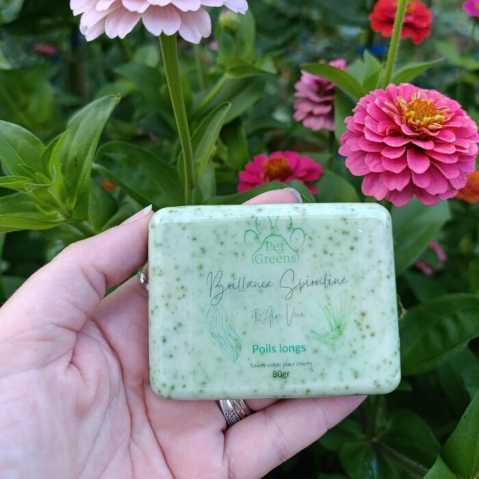 SHAMPOING SOLIDE NATUREL POUR CHIEN - Pet Greens – Image 3